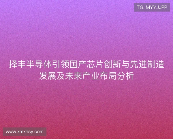 择丰半导体引领国产芯片创新与先进制造发展及未来产业布局分析